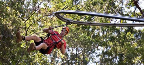 Australia Has World's Longest Zipline Roller Coaster, .